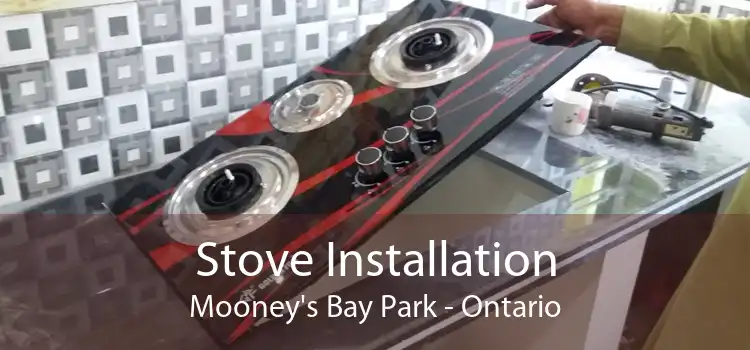 Stove Installation Mooney's Bay Park - Ontario