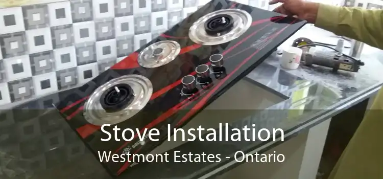 Stove Installation Westmont Estates - Ontario