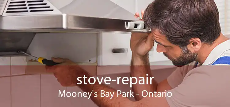 stove-repair Mooney's Bay Park - Ontario