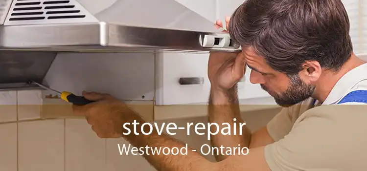 stove-repair Westwood - Ontario