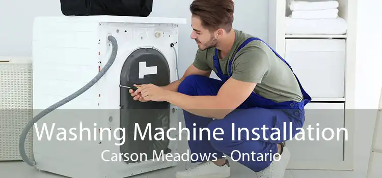 Washing Machine Installation Carson Meadows - Ontario